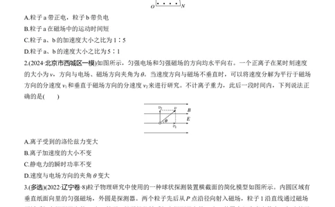 热点11　带电粒子在磁场中的运动淘宝店：红太阳资料库_2025年新高考资料_二轮复习_2025年高考物理大二轮_2025物理二轮专题复习学生用书Word版文档_二轮专题强化练+考前特训