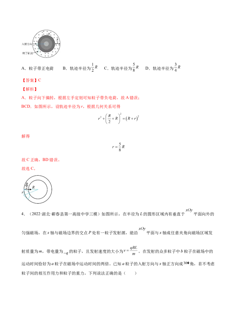 10.2磁场对运动电荷的作用（练）--2023年高考物理一轮复习讲练测（全国通用）（解析版）_通用版（老高考）复习资料_2023年复习资料_一轮复习_2023年高考物理一轮复习讲练测（全国通用）