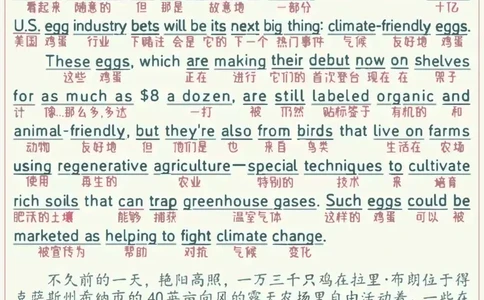 英二2022_考研英语真题（英一＋英二）_考研英语真题_考研英语二历年真题_❤️7.英语二2010-2025(真题逐词翻译)_2版本二阅读部分（2005-2024）_逐词翻译（05-21）