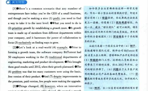 2023年真题解析及复习思路_考研英语真题（英一＋英二）_考研英语真题_考研英语二历年真题_❤️6.黄皮-英语二+解析_真题解析及复习思路（2010-2025）