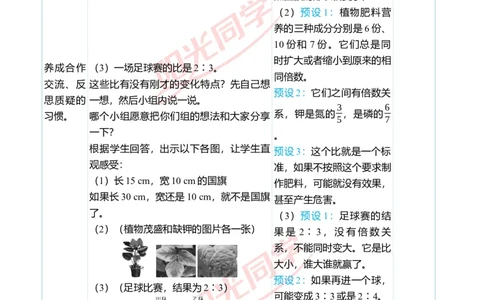 第四单元教学案例_小学数学人教版单独教案（1-6上下册）_《阳光同学教案》1-6上册（25秋）_阳光同学特级教案数学人教6年级上册_第四单元比