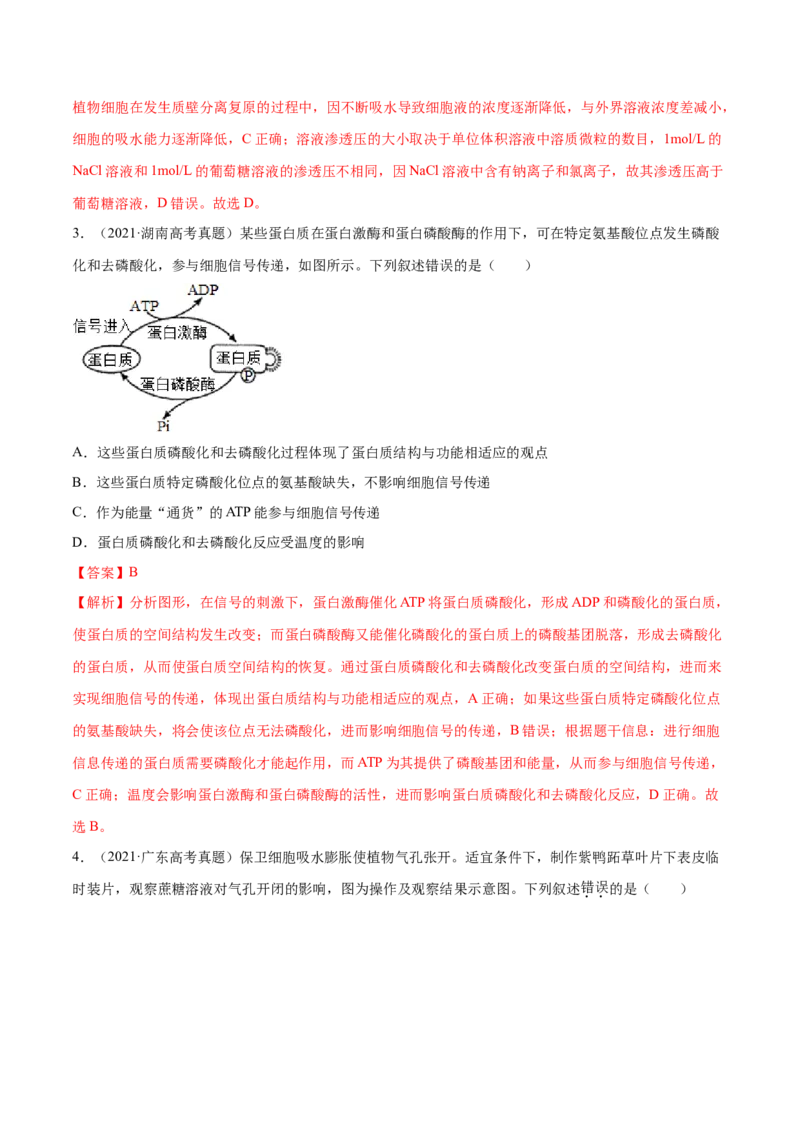 专题02细胞的能量与代谢-十年（2012-2021）高考生物真题分项汇编（全国通用）（解析版）_高考真题分类汇编(2012-2022)生物_高考真题分项汇编(2012-2021)生物