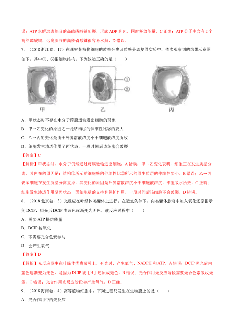 专题02细胞的能量与代谢-十年（2012-2021）高考生物真题分项汇编（全国通用）（解析版）_高考真题分类汇编(2012-2022)生物_高考真题分项汇编(2012-2021)生物