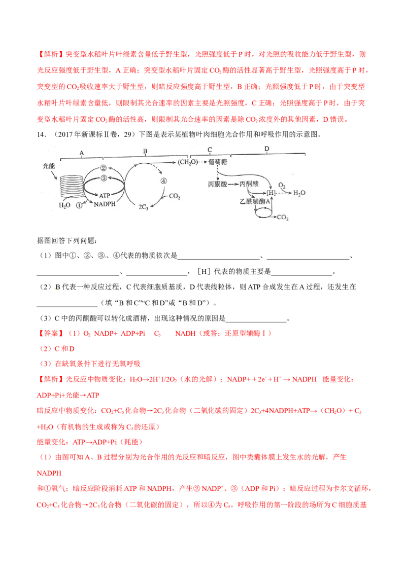 专题02细胞的能量与代谢-十年（2012-2021）高考生物真题分项汇编（全国通用）（解析版）_高考真题分类汇编(2012-2022)生物_高考真题分项汇编(2012-2021)生物