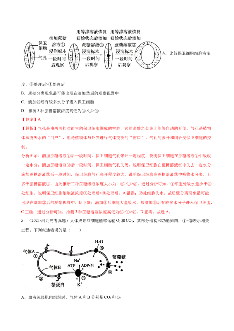 专题02细胞的能量与代谢-十年（2012-2021）高考生物真题分项汇编（全国通用）（解析版）_高考真题分类汇编(2012-2022)生物_高考真题分项汇编(2012-2021)生物