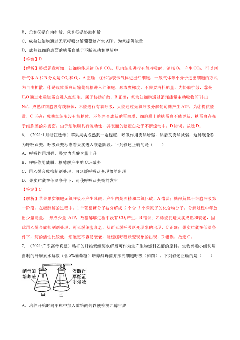 专题02细胞的能量与代谢-十年（2012-2021）高考生物真题分项汇编（全国通用）（解析版）_高考真题分类汇编(2012-2022)生物_高考真题分项汇编(2012-2021)生物