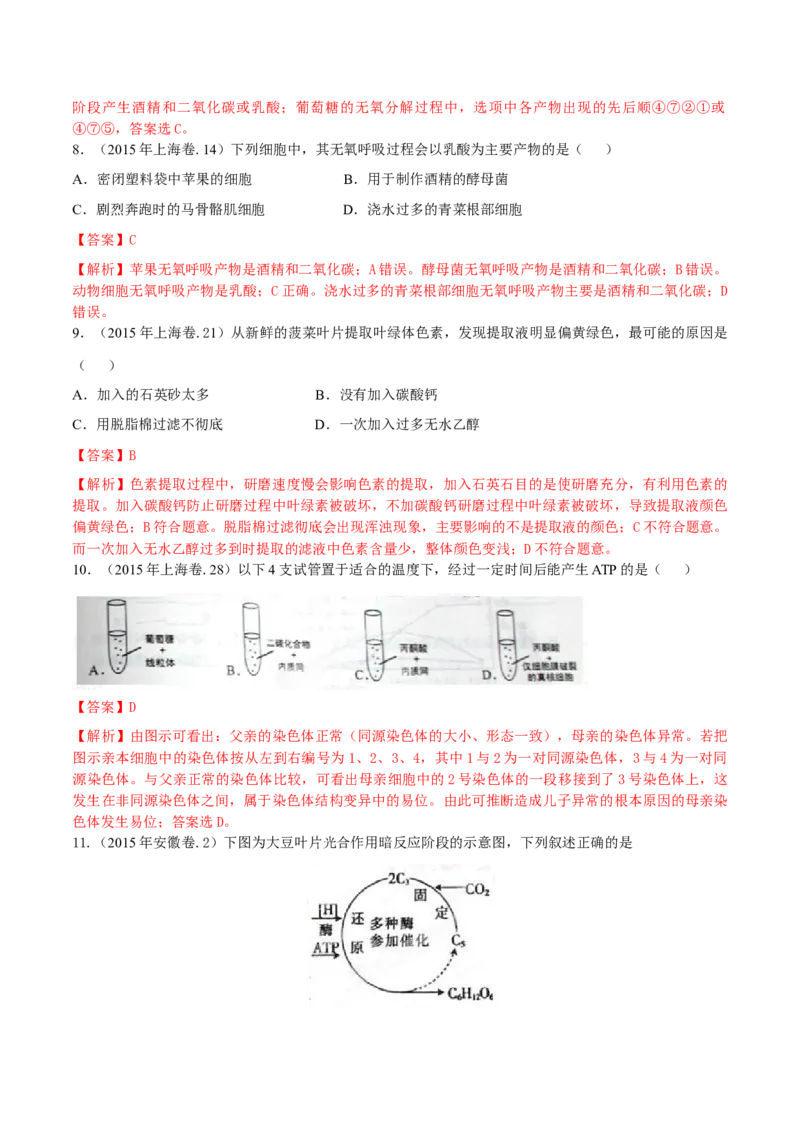 专题02细胞的能量与代谢-十年（2012-2021）高考生物真题分项汇编（全国通用）（解析版）_高考真题分类汇编(2012-2022)生物_高考真题分项汇编(2012-2021)生物