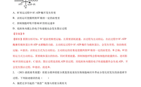 专题02细胞的能量与代谢-十年（2012-2021）高考生物真题分项汇编（全国通用）（解析版）_高考真题分类汇编(2012-2022)生物_高考真题分项汇编(2012-2021)生物
