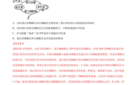 专题02细胞的能量与代谢-十年（2012-2021）高考生物真题分项汇编（全国通用）（解析版）_高考真题分类汇编(2012-2022)生物_高考真题分项汇编(2012-2021)生物