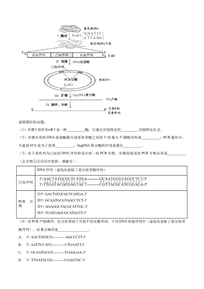 专题11生物技术实践-十年（2012-2021）高考生物真题分项汇编（全国通用）（原卷版）_高考真题分类汇编(2012-2022)生物_高考真题分项汇编(2012-2021)生物