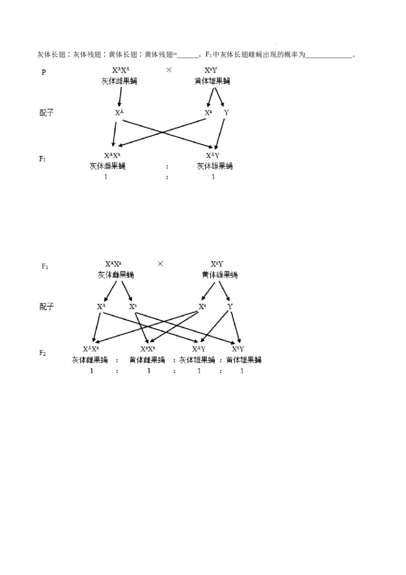 专题07伴性遗传和人类遗传病-三年（2020-2022）高考真题生物分项汇编（全国通用）（原卷版）_高考真题分类汇编(2012-2022)生物_高考真题分项汇编(2020-2022)生物