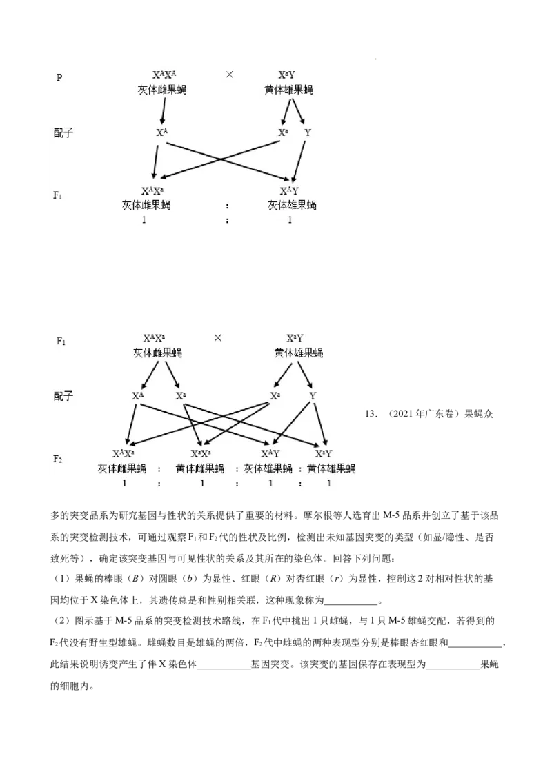 专题07伴性遗传和人类遗传病-三年（2020-2022）高考真题生物分项汇编（全国通用）（原卷版）_高考真题分类汇编(2012-2022)生物_高考真题分项汇编(2020-2022)生物
