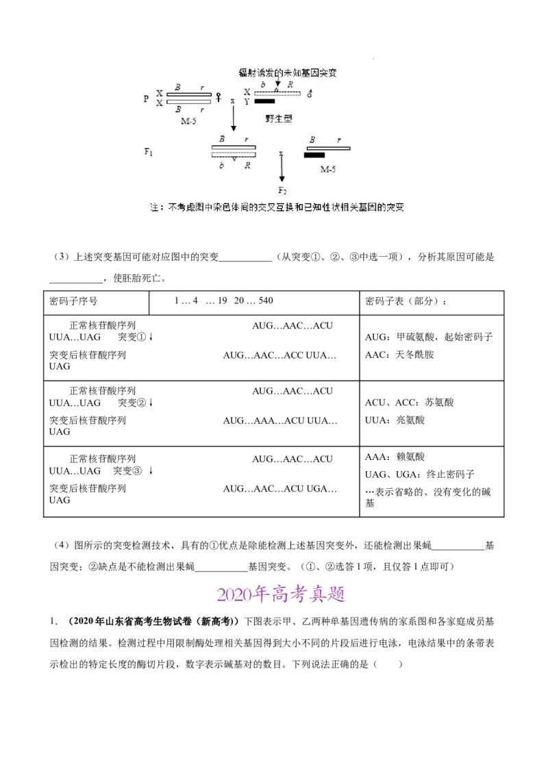 专题07伴性遗传和人类遗传病-三年（2020-2022）高考真题生物分项汇编（全国通用）（原卷版）_高考真题分类汇编(2012-2022)生物_高考真题分项汇编(2020-2022)生物
