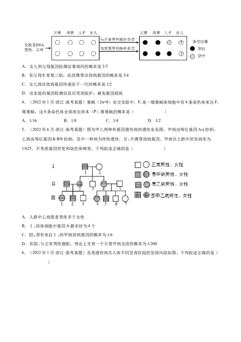 专题07伴性遗传和人类遗传病-三年（2020-2022）高考真题生物分项汇编（全国通用）（原卷版）_高考真题分类汇编(2012-2022)生物_高考真题分项汇编(2020-2022)生物