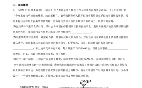 专题07伴性遗传和人类遗传病-三年（2020-2022）高考真题生物分项汇编（全国通用）（原卷版）_高考真题分类汇编(2012-2022)生物_高考真题分项汇编(2020-2022)生物