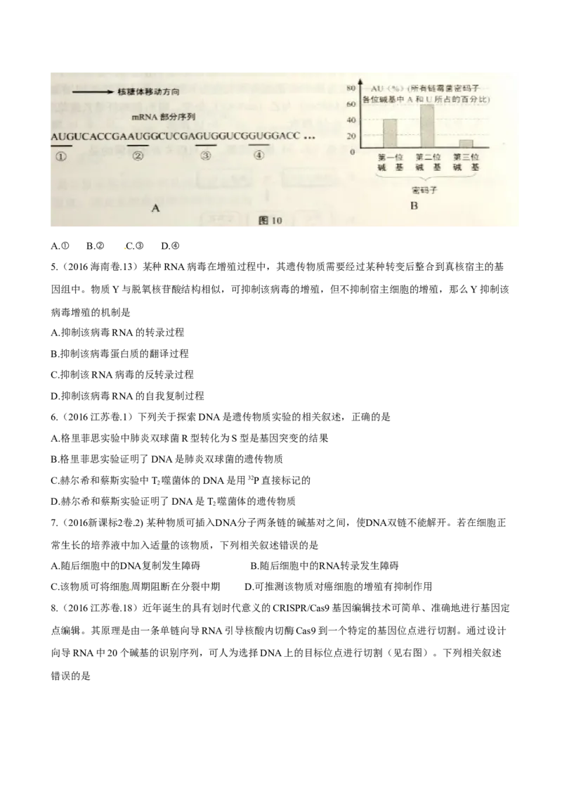 专题04遗传的分子基础-十年（2012-2021）高考生物真题分项汇编（全国通用）（原卷版）_高考真题分类汇编(2012-2022)生物_高考真题分项汇编(2012-2021)生物