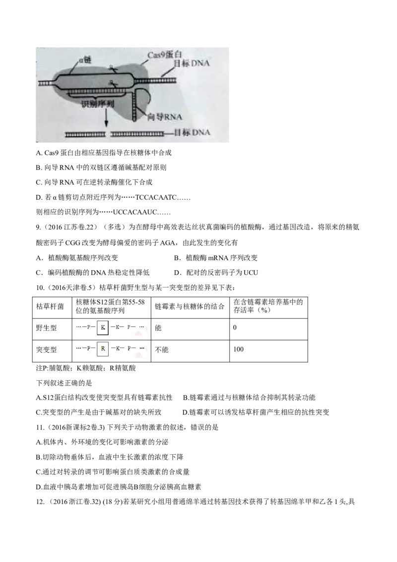专题04遗传的分子基础-十年（2012-2021）高考生物真题分项汇编（全国通用）（原卷版）_高考真题分类汇编(2012-2022)生物_高考真题分项汇编(2012-2021)生物