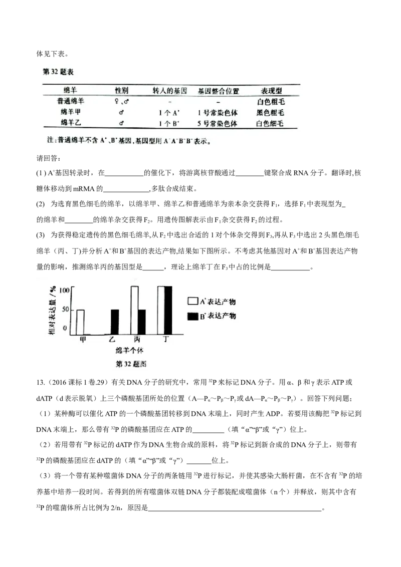 专题04遗传的分子基础-十年（2012-2021）高考生物真题分项汇编（全国通用）（原卷版）_高考真题分类汇编(2012-2022)生物_高考真题分项汇编(2012-2021)生物
