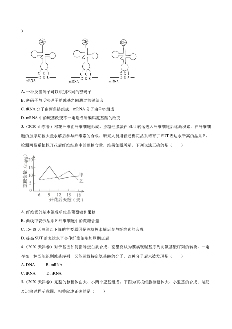 专题04遗传的分子基础-十年（2012-2021）高考生物真题分项汇编（全国通用）（原卷版）_高考真题分类汇编(2012-2022)生物_高考真题分项汇编(2012-2021)生物