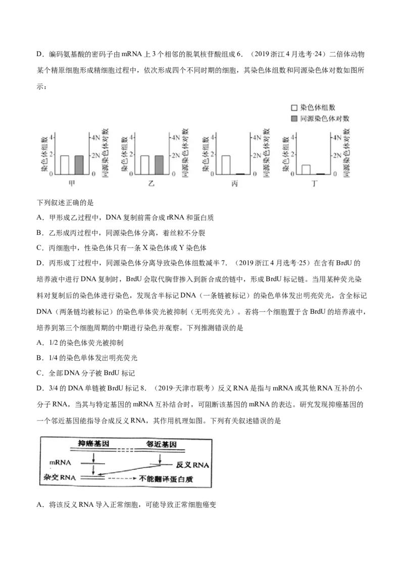 专题04遗传的分子基础-十年（2012-2021）高考生物真题分项汇编（全国通用）（原卷版）_高考真题分类汇编(2012-2022)生物_高考真题分项汇编(2012-2021)生物