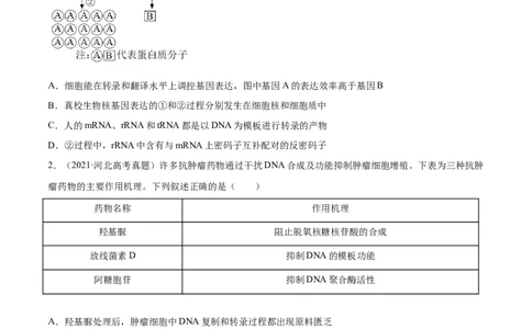 专题04遗传的分子基础-十年（2012-2021）高考生物真题分项汇编（全国通用）（原卷版）_高考真题分类汇编(2012-2022)生物_高考真题分项汇编(2012-2021)生物