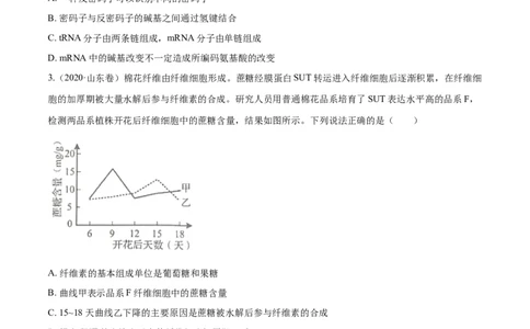 专题04遗传的分子基础-十年（2012-2021）高考生物真题分项汇编（全国通用）（原卷版）_高考真题分类汇编(2012-2022)生物_高考真题分项汇编(2012-2021)生物