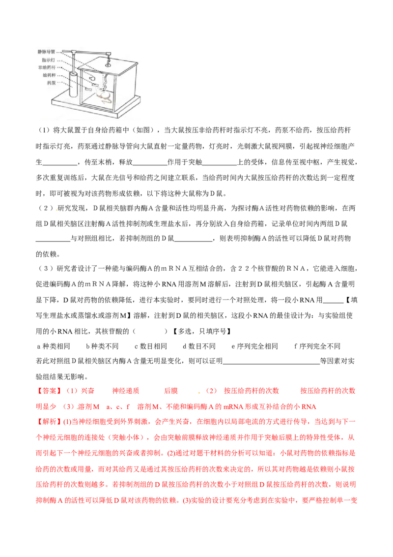 专题13实验与探究-十年（2012-2021）高考生物真题分项汇编（全国通用）（解析版）_高考真题分类汇编(2012-2022)生物_高考真题分项汇编(2012-2021)生物