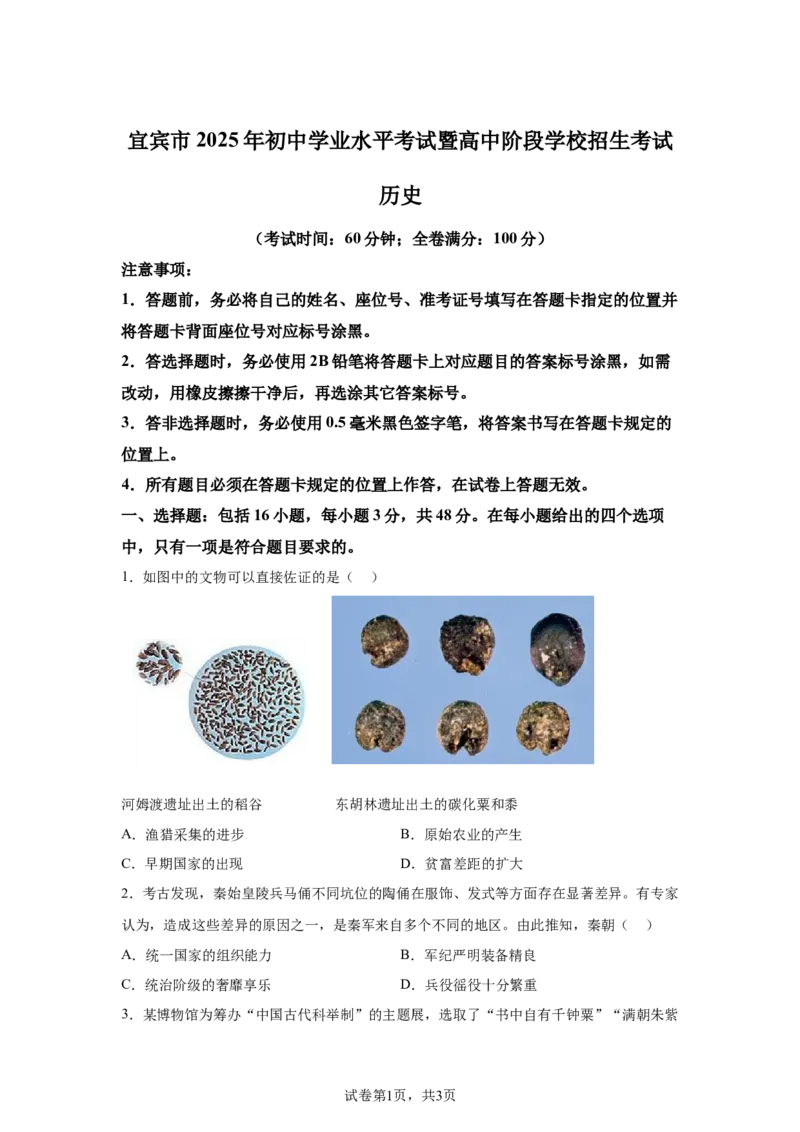 2025年四川省宜宾市中考历史真题_6.2015-2025年中考历史_6.2025各省市历史_四川