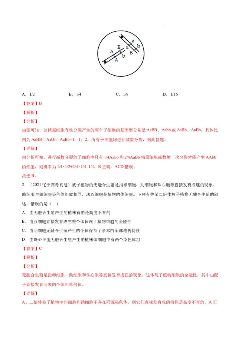 专题04细胞的生命历程（包括减数分裂）-三年（2020-2022）高考真题生物分项汇编（全国通用）（解析版）_高考真题分类汇编(2012-2022)生物_高考真题分项汇编(2020-2022)生物