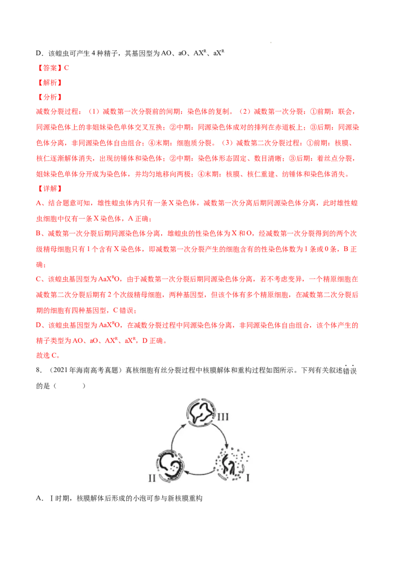 专题04细胞的生命历程（包括减数分裂）-三年（2020-2022）高考真题生物分项汇编（全国通用）（解析版）_高考真题分类汇编(2012-2022)生物_高考真题分项汇编(2020-2022)生物