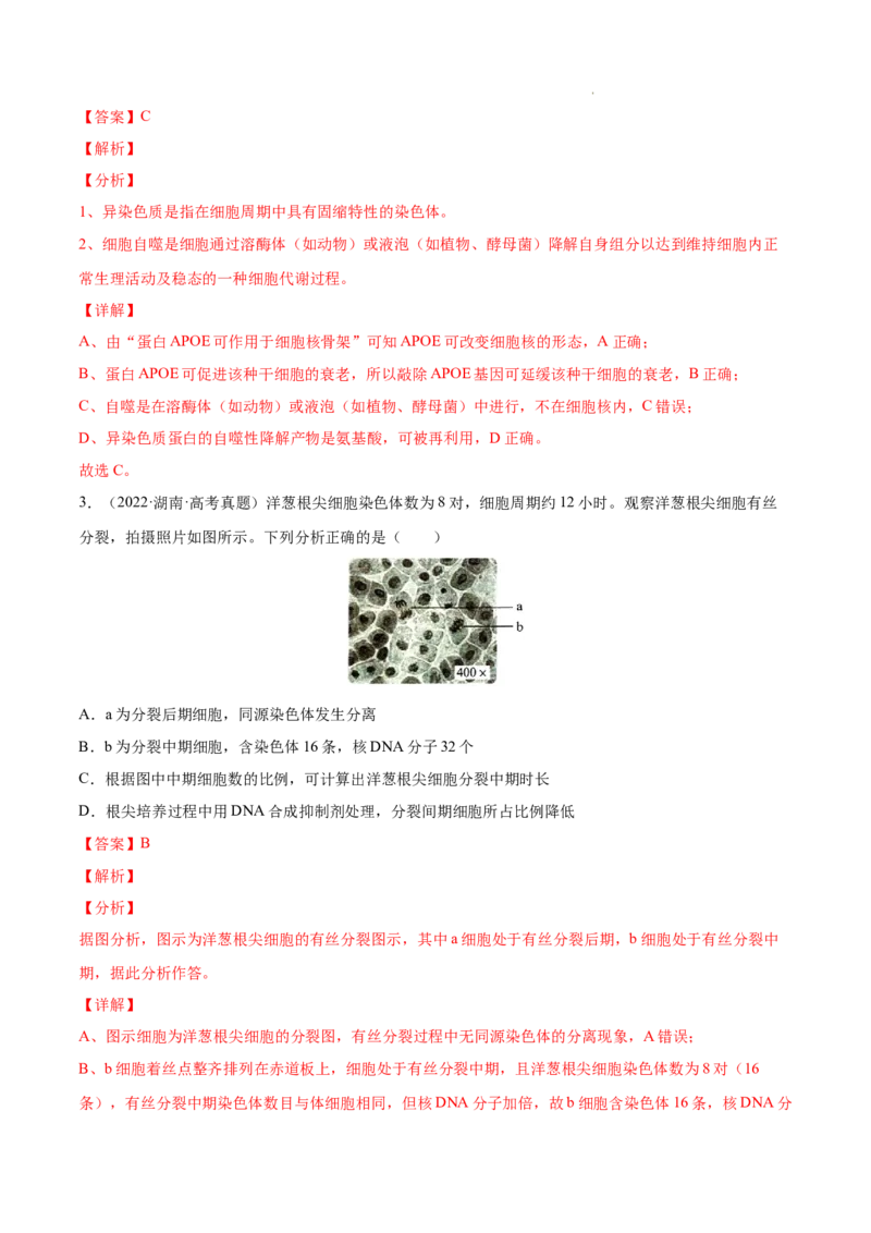 专题04细胞的生命历程（包括减数分裂）-三年（2020-2022）高考真题生物分项汇编（全国通用）（解析版）_高考真题分类汇编(2012-2022)生物_高考真题分项汇编(2020-2022)生物