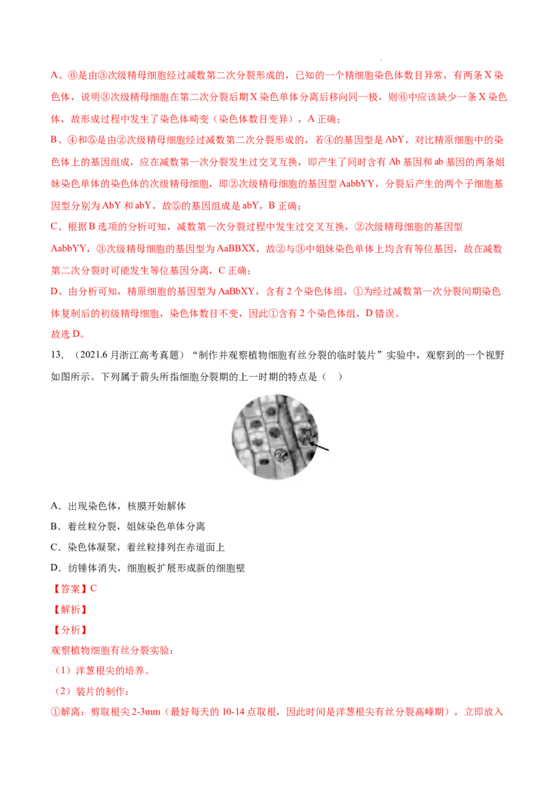 专题04细胞的生命历程（包括减数分裂）-三年（2020-2022）高考真题生物分项汇编（全国通用）（解析版）_高考真题分类汇编(2012-2022)生物_高考真题分项汇编(2020-2022)生物
