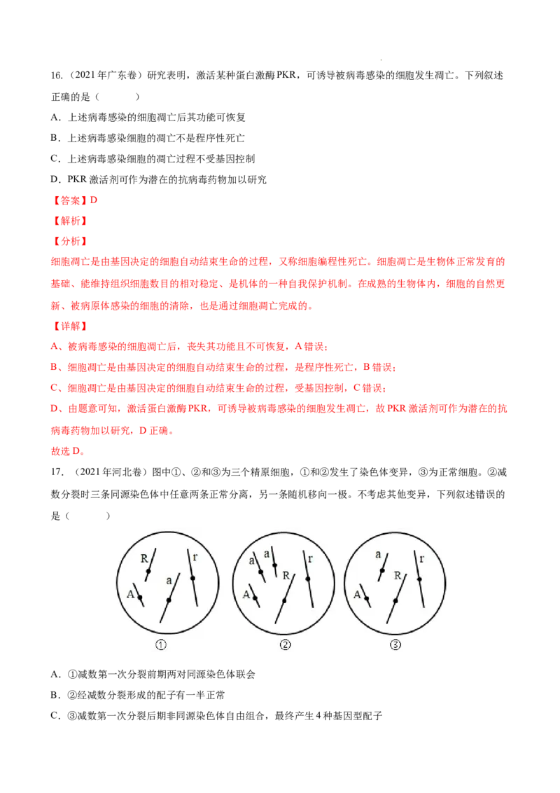 专题04细胞的生命历程（包括减数分裂）-三年（2020-2022）高考真题生物分项汇编（全国通用）（解析版）_高考真题分类汇编(2012-2022)生物_高考真题分项汇编(2020-2022)生物