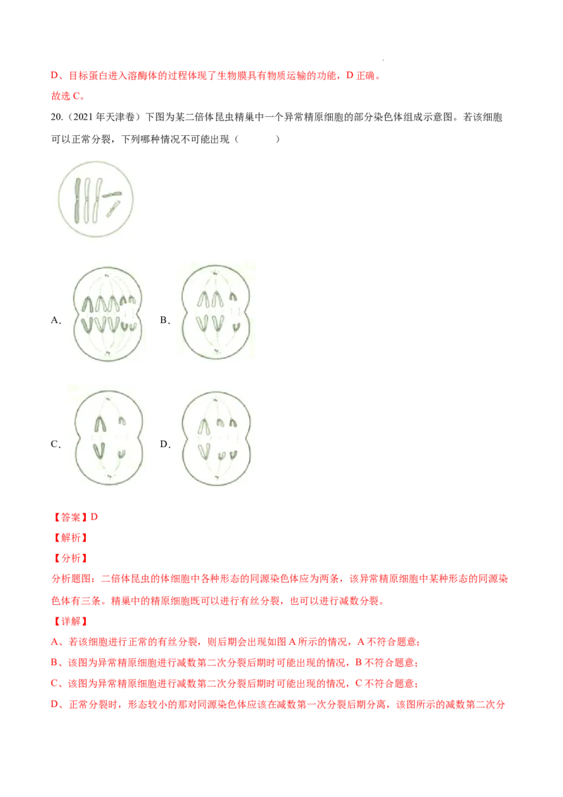 专题04细胞的生命历程（包括减数分裂）-三年（2020-2022）高考真题生物分项汇编（全国通用）（解析版）_高考真题分类汇编(2012-2022)生物_高考真题分项汇编(2020-2022)生物