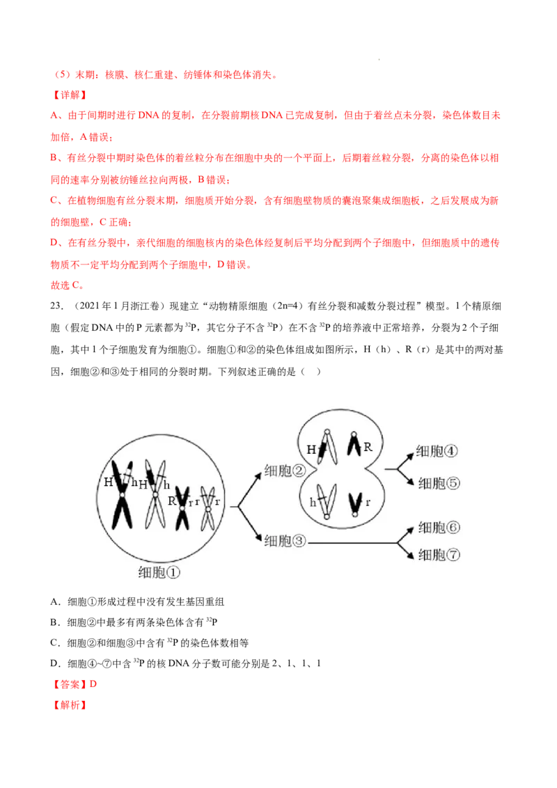 专题04细胞的生命历程（包括减数分裂）-三年（2020-2022）高考真题生物分项汇编（全国通用）（解析版）_高考真题分类汇编(2012-2022)生物_高考真题分项汇编(2020-2022)生物