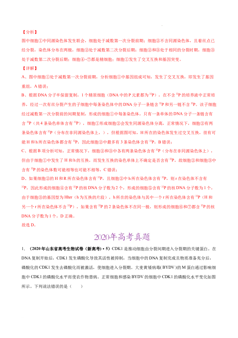 专题04细胞的生命历程（包括减数分裂）-三年（2020-2022）高考真题生物分项汇编（全国通用）（解析版）_高考真题分类汇编(2012-2022)生物_高考真题分项汇编(2020-2022)生物
