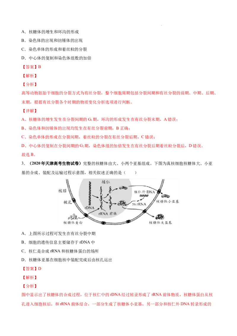专题04细胞的生命历程（包括减数分裂）-三年（2020-2022）高考真题生物分项汇编（全国通用）（解析版）_高考真题分类汇编(2012-2022)生物_高考真题分项汇编(2020-2022)生物