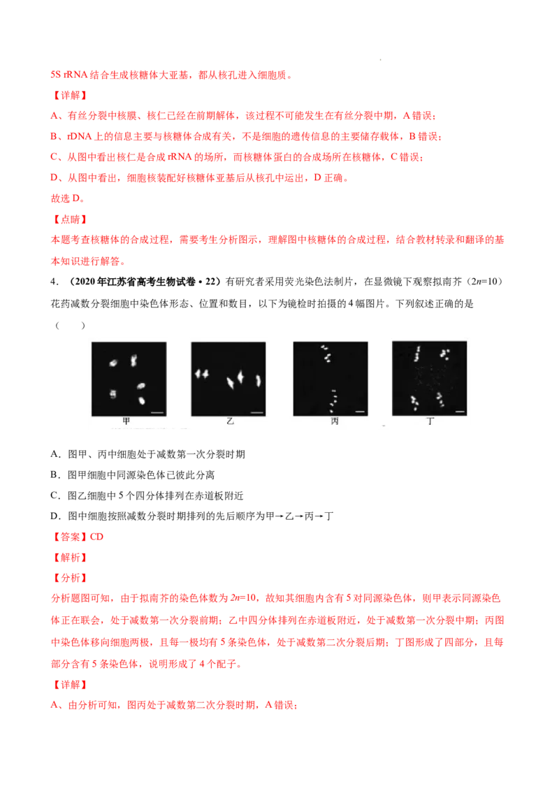 专题04细胞的生命历程（包括减数分裂）-三年（2020-2022）高考真题生物分项汇编（全国通用）（解析版）_高考真题分类汇编(2012-2022)生物_高考真题分项汇编(2020-2022)生物