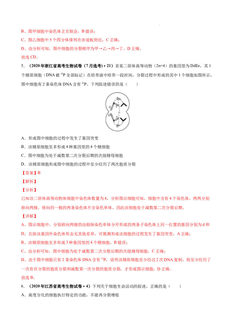 专题04细胞的生命历程（包括减数分裂）-三年（2020-2022）高考真题生物分项汇编（全国通用）（解析版）_高考真题分类汇编(2012-2022)生物_高考真题分项汇编(2020-2022)生物