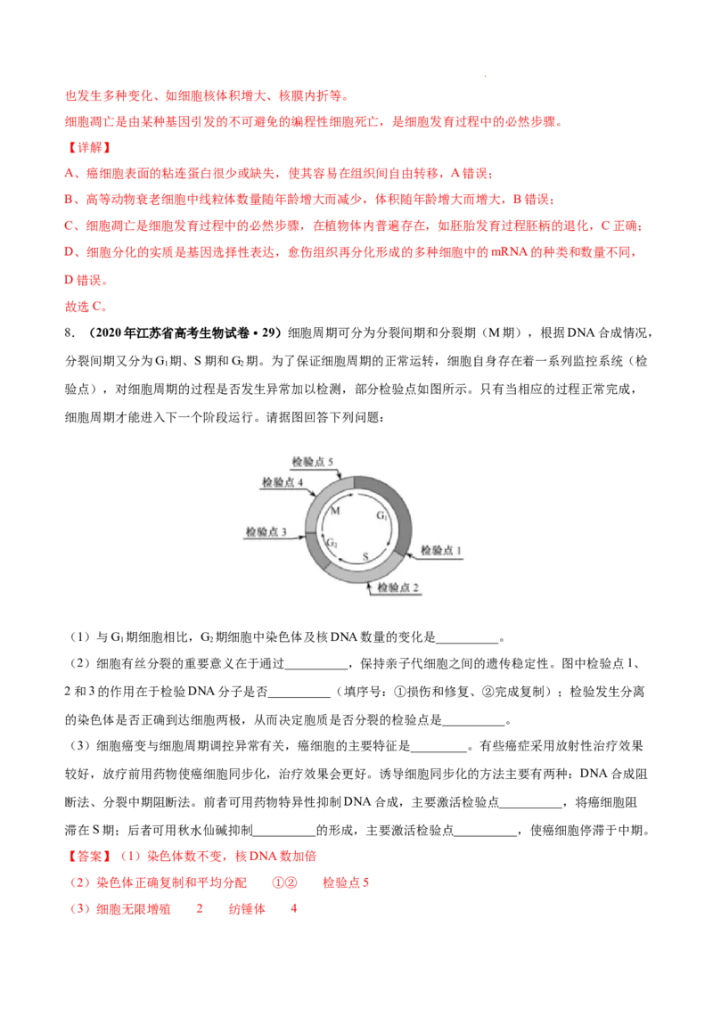 专题04细胞的生命历程（包括减数分裂）-三年（2020-2022）高考真题生物分项汇编（全国通用）（解析版）_高考真题分类汇编(2012-2022)生物_高考真题分项汇编(2020-2022)生物