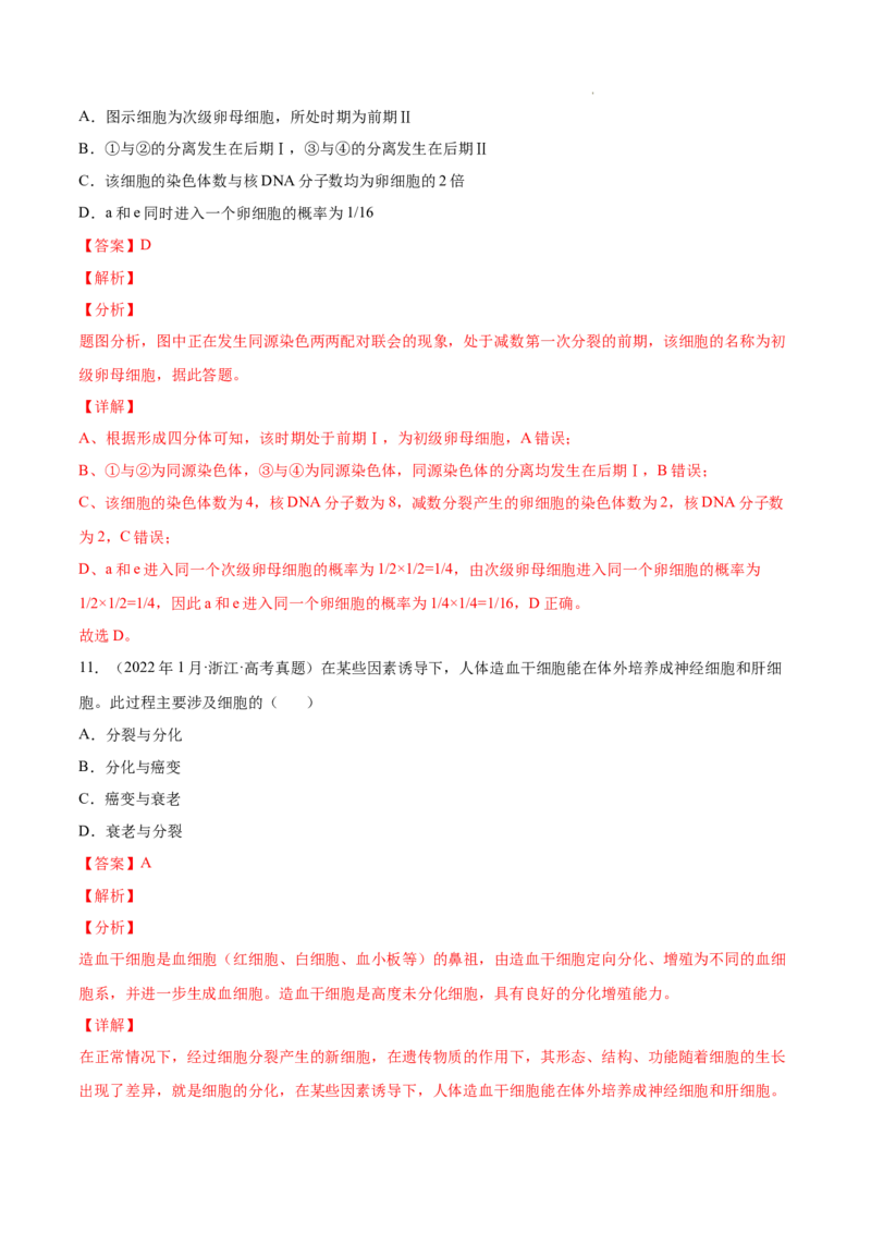 专题04细胞的生命历程（包括减数分裂）-三年（2020-2022）高考真题生物分项汇编（全国通用）（解析版）_高考真题分类汇编(2012-2022)生物_高考真题分项汇编(2020-2022)生物