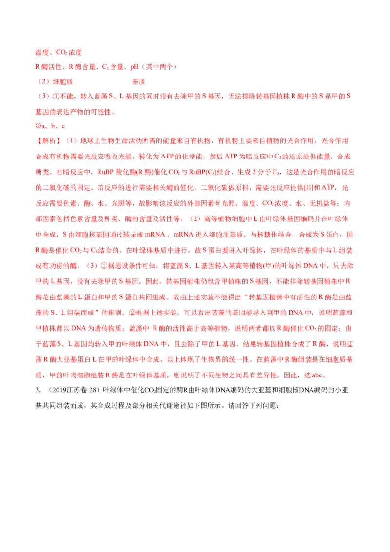 专题14光合作用与呼吸作用综合-十年（2012-2021）高考生物真题分项汇编（全国通用）（解析版）_高考真题分类汇编(2012-2022)生物_高考真题分项汇编(2012-2021)生物