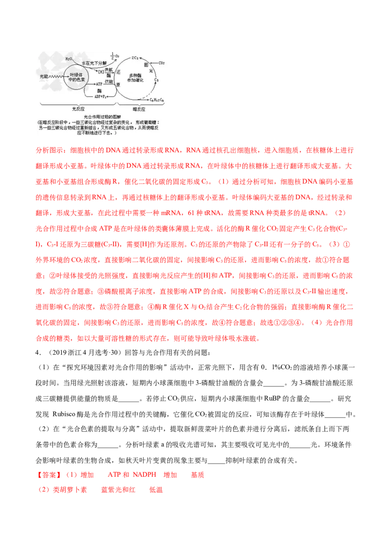 专题14光合作用与呼吸作用综合-十年（2012-2021）高考生物真题分项汇编（全国通用）（解析版）_高考真题分类汇编(2012-2022)生物_高考真题分项汇编(2012-2021)生物