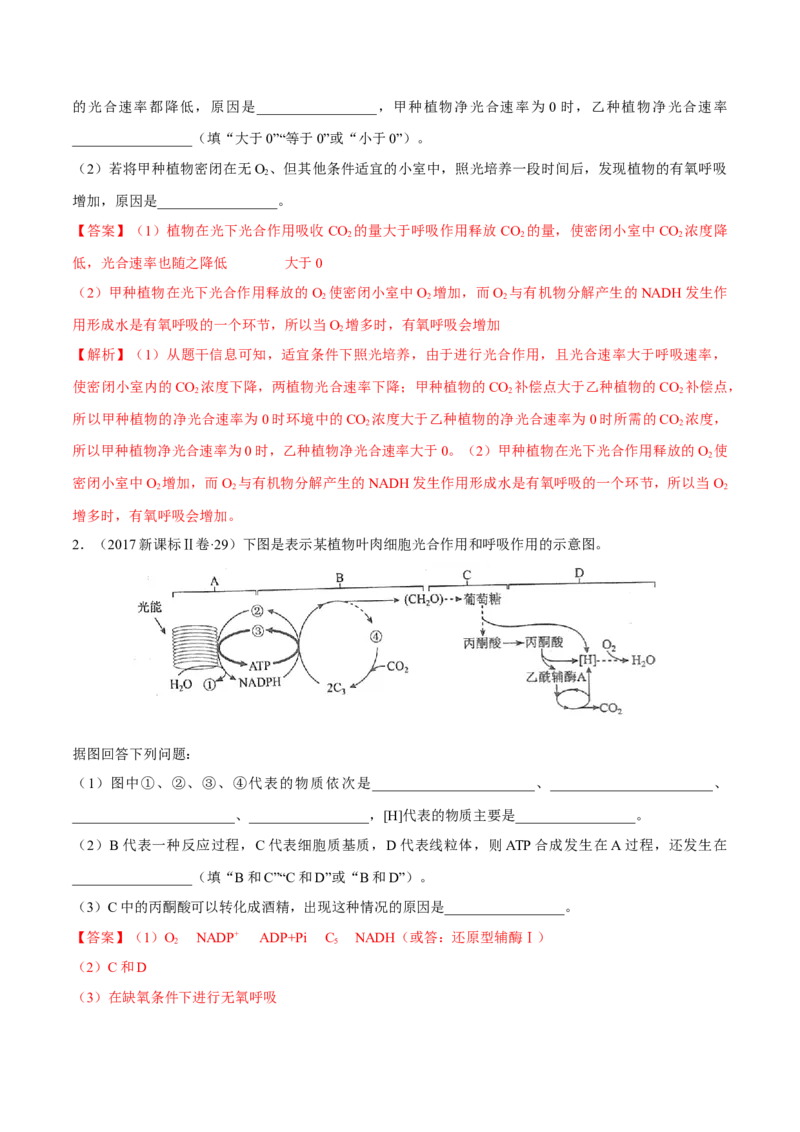 专题14光合作用与呼吸作用综合-十年（2012-2021）高考生物真题分项汇编（全国通用）（解析版）_高考真题分类汇编(2012-2022)生物_高考真题分项汇编(2012-2021)生物