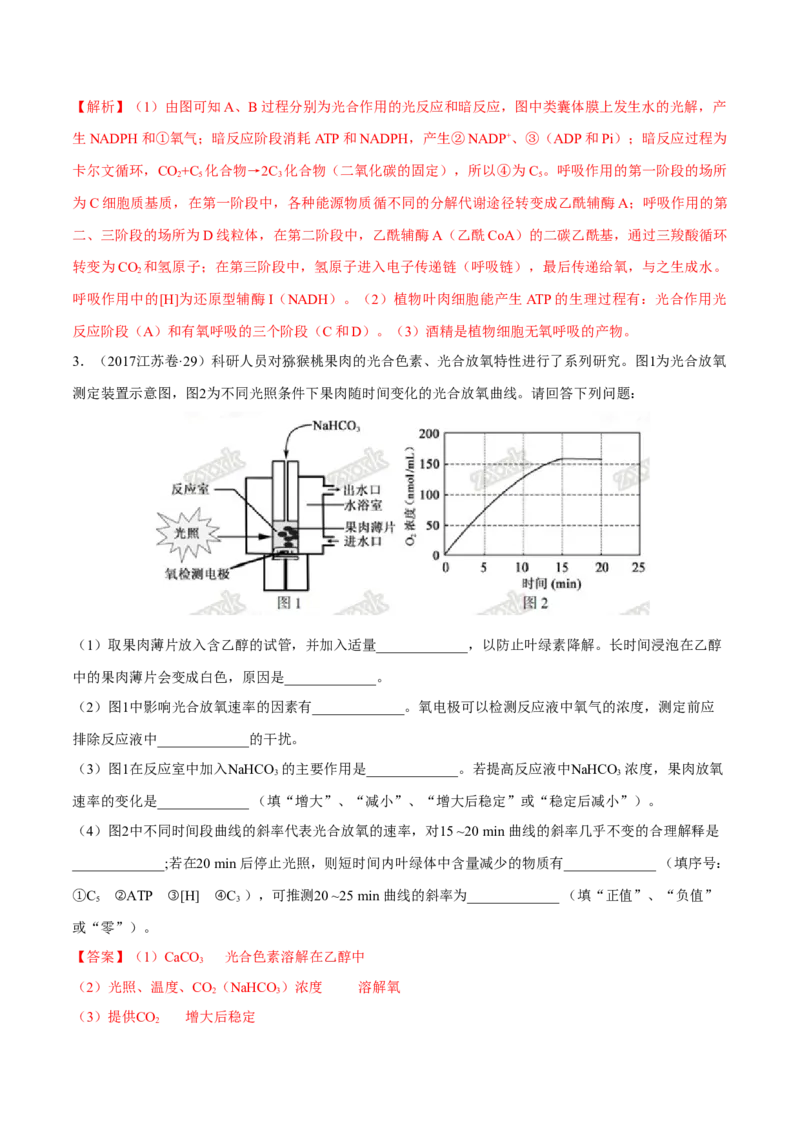 专题14光合作用与呼吸作用综合-十年（2012-2021）高考生物真题分项汇编（全国通用）（解析版）_高考真题分类汇编(2012-2022)生物_高考真题分项汇编(2012-2021)生物
