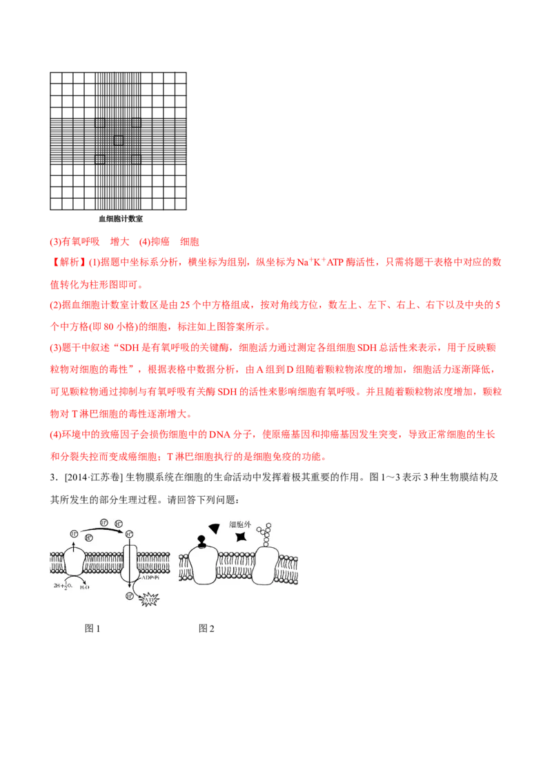 专题14光合作用与呼吸作用综合-十年（2012-2021）高考生物真题分项汇编（全国通用）（解析版）_高考真题分类汇编(2012-2022)生物_高考真题分项汇编(2012-2021)生物