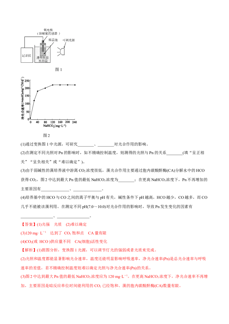 专题14光合作用与呼吸作用综合-十年（2012-2021）高考生物真题分项汇编（全国通用）（解析版）_高考真题分类汇编(2012-2022)生物_高考真题分项汇编(2012-2021)生物