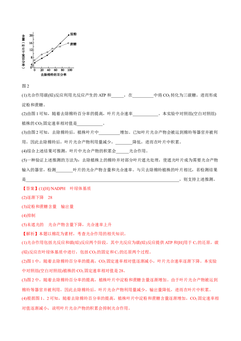 专题14光合作用与呼吸作用综合-十年（2012-2021）高考生物真题分项汇编（全国通用）（解析版）_高考真题分类汇编(2012-2022)生物_高考真题分项汇编(2012-2021)生物