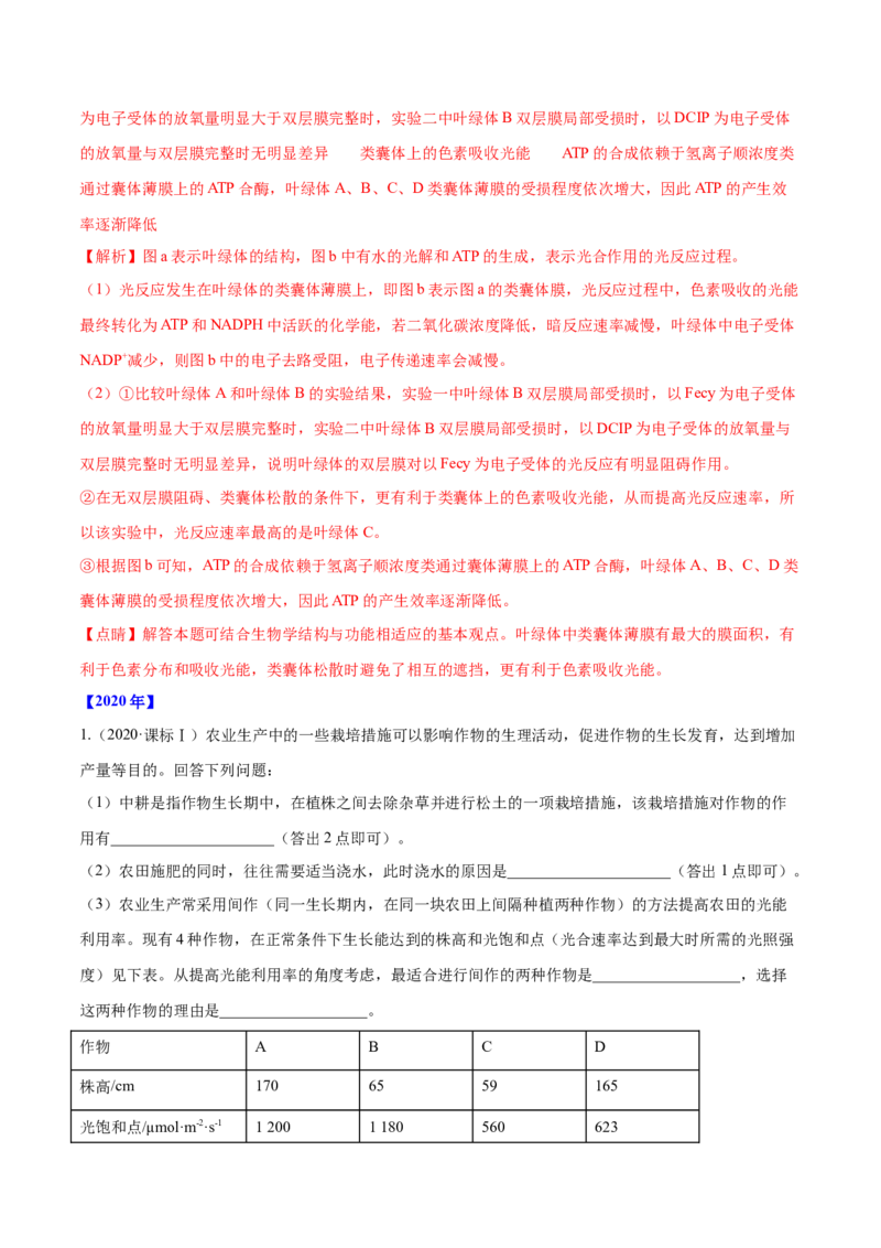 专题14光合作用与呼吸作用综合-十年（2012-2021）高考生物真题分项汇编（全国通用）（解析版）_高考真题分类汇编(2012-2022)生物_高考真题分项汇编(2012-2021)生物