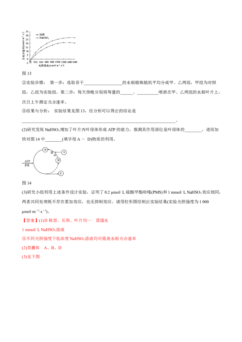 专题14光合作用与呼吸作用综合-十年（2012-2021）高考生物真题分项汇编（全国通用）（解析版）_高考真题分类汇编(2012-2022)生物_高考真题分项汇编(2012-2021)生物